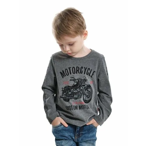 Лонгслив Mini Maxi, размер 98, серый