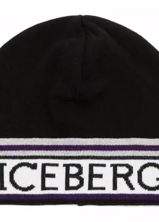 Шапка Iceberg