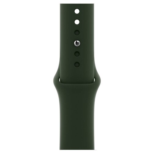 Ремешок Apple Sport Band Regular для Apple Watch 40мм кипрский зеленый (MG423ZM/A)