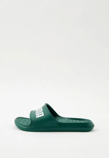 Сланцы PUMA