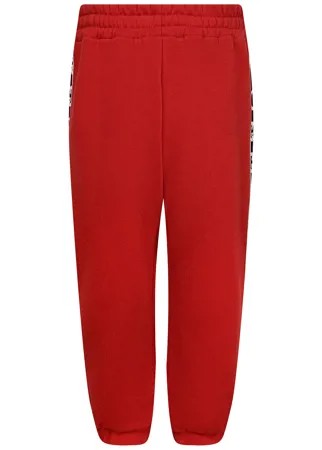Брюки спортивные GUCCI