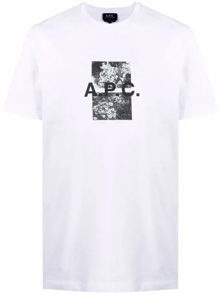 A.P.C. футболка Teddy с фотопринтом