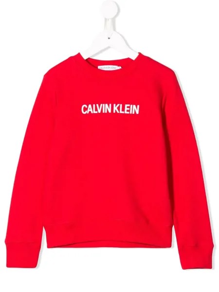 Calvin Klein Kids толстовка с логотипом