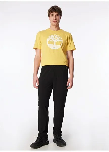 Черные мужские спортивные штаны стандартного кроя S241043-001 Micro Collection M Skechers, черный