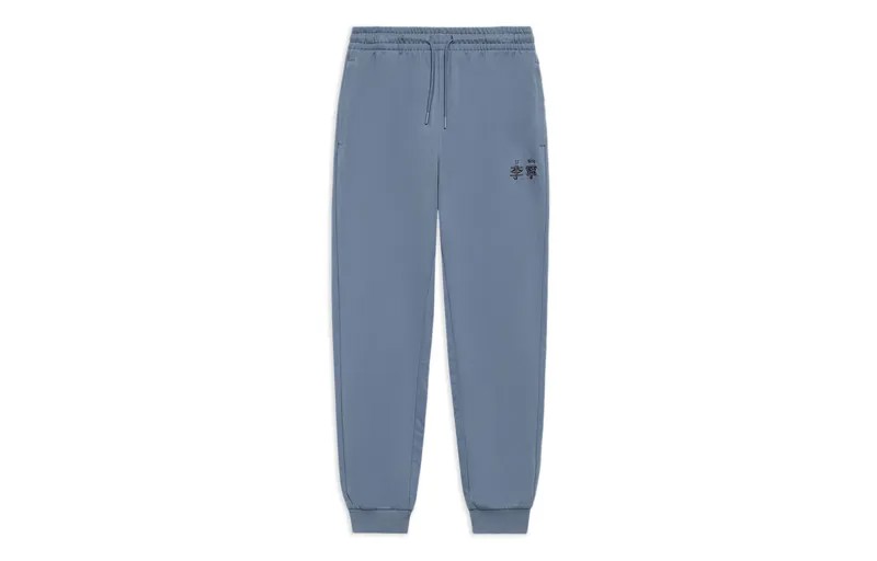 Спортивные спортивные штаны из коллекции Sports Life, цвет синий Lining, синий