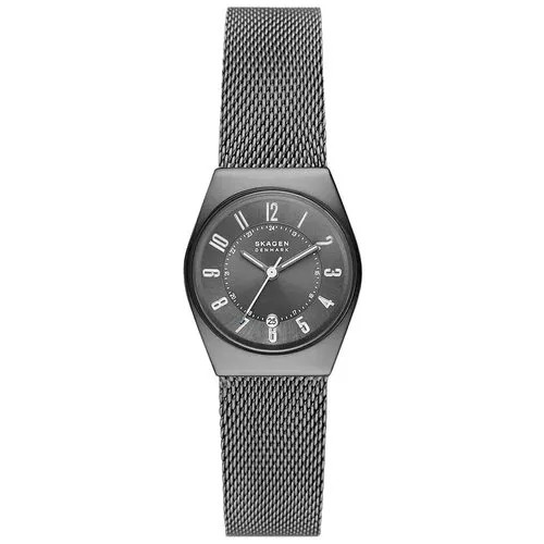Наручные часы Skagen SKW3039
