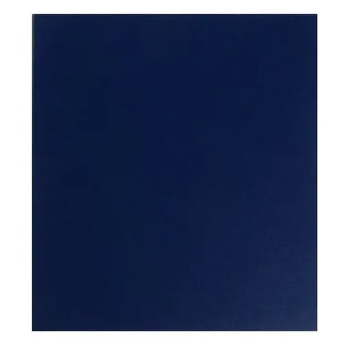 Лонгслив детский, цвет голубой, рост 86 см
