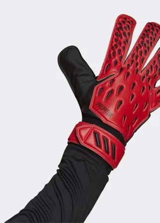 Вратарские перчатки для тренировок Predator adidas Performance