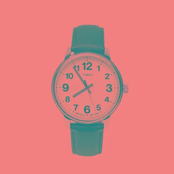 Наручные часы Timex Easy Reader Bold