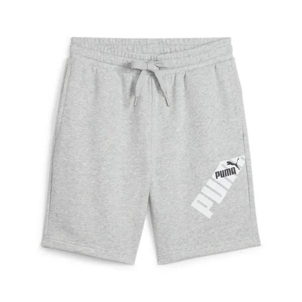 Спортивные брюки PUMA 
