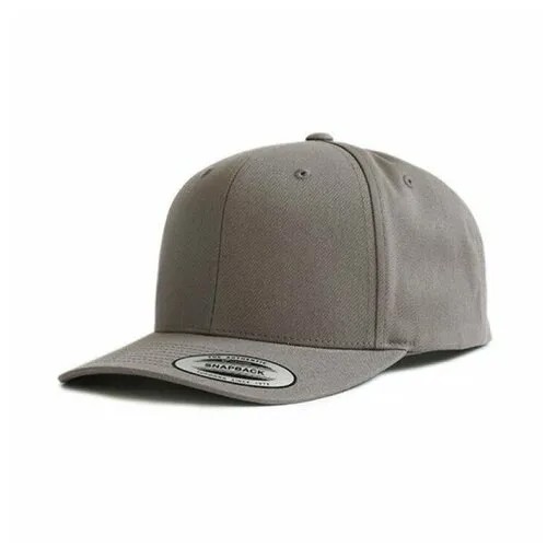 Кепка FlexFit 6089CC Rus Lt. Steel Grey
