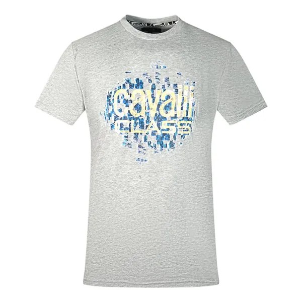 Серая футболка с логотипом Cavalli class gradien Scales Cavalli Class, серый