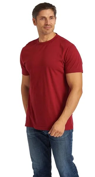 Футболка мужская Lion ФУТ501 бордовая 2XL