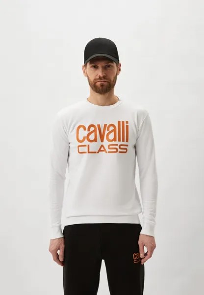 Свитшот Cavalli Class