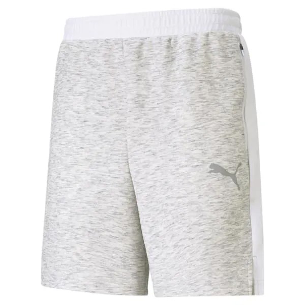[Puma] Official Puma Evo Stripe Shorts 8 inches (58581502)