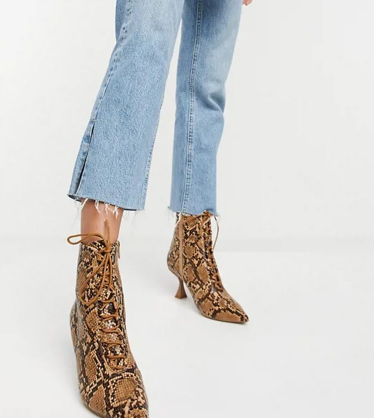 Ботинки на шнуровке с заостренным носком и эффектом змеиной кожи ASOS DESIGN Wide Fit Ricky-Мульти