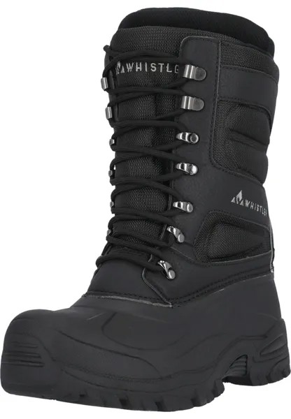 Сапоги Whistler Winter Ferday, цвет 1001 Black