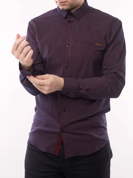 Рубашка мужская Paolo Maldini hs-tl29 фиолетовая; золотистая; коричневая 50; 52 RU