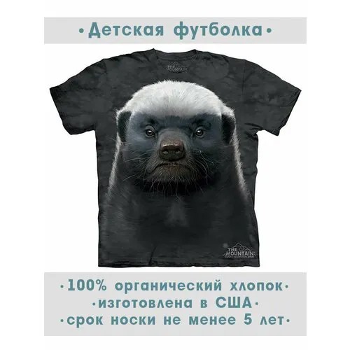 Футболка The Mountain, размер S-Y, серый