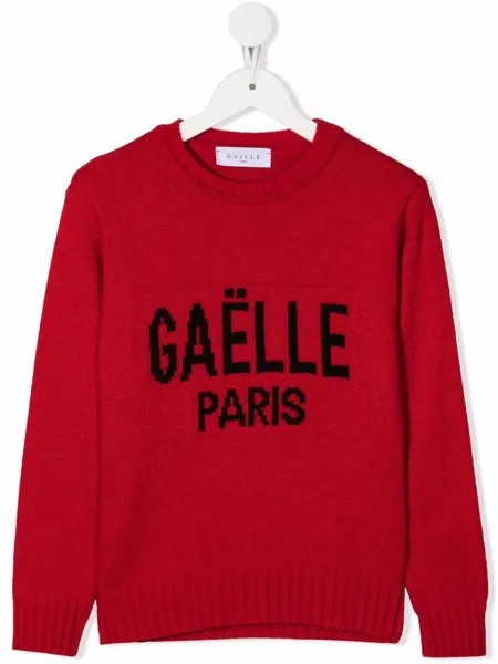 Gaelle Paris Kids джемпер с логотипом