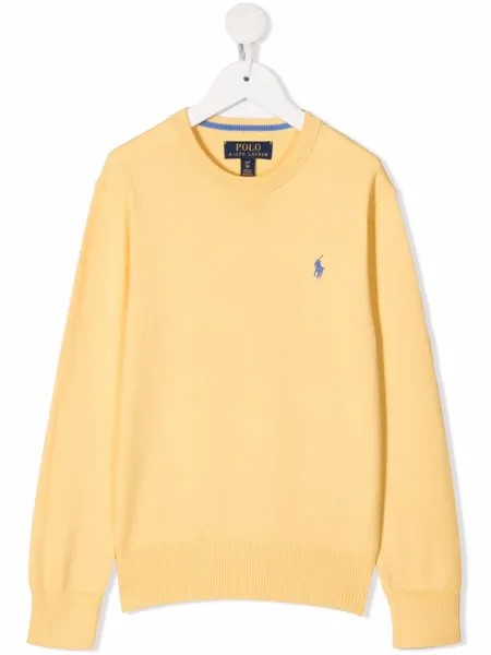 Ralph Lauren Kids футболка с вышивкой Polo Pony