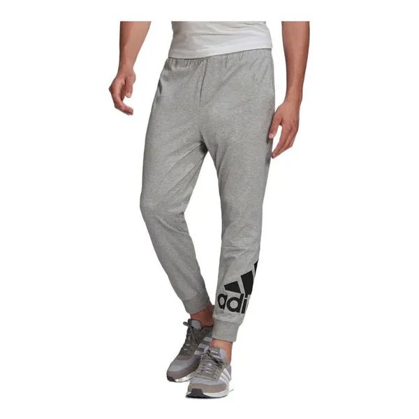 Спортивные штаны Men's adidas Pants Large Logo Sports Pants/Trousers/Joggers Gray, серый
