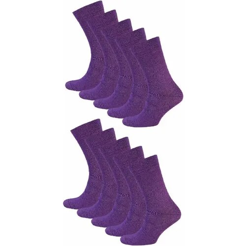 Носки STATUS, 10 пар, размер 25, фиолетовый