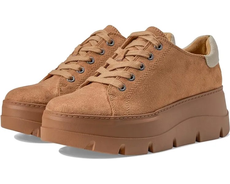 Оксфорды ZODIAC Bea, цвет Latte Tan