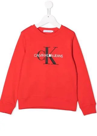 Calvin Klein Kids толстовка с логотипом