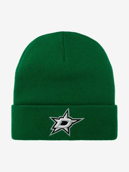 Шапка с отворотом MITCHELL NESS EU175-TEAMTALK-GRN Dallas Stars NHL (зеленый), Зеленый