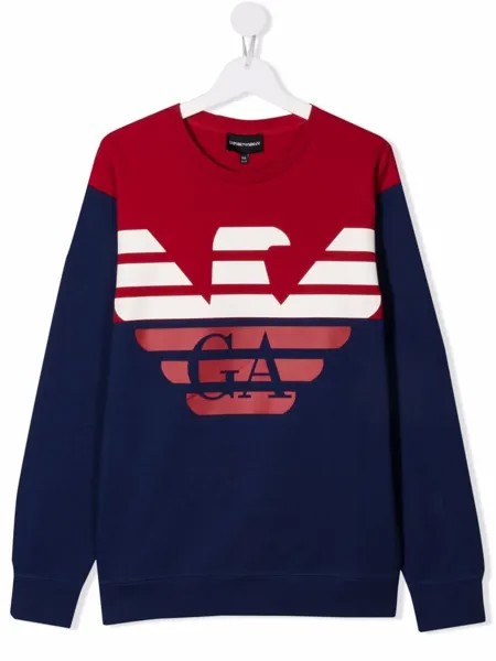 Emporio Armani Kids джемпер с логотипом