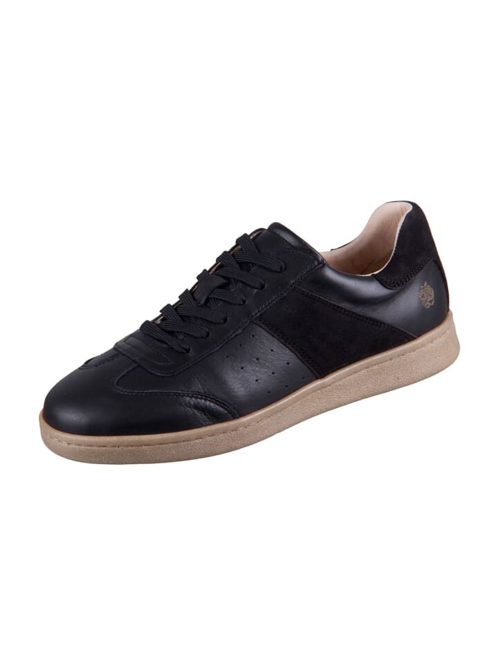 Низкие кроссовки Apple of Eden Low, черный