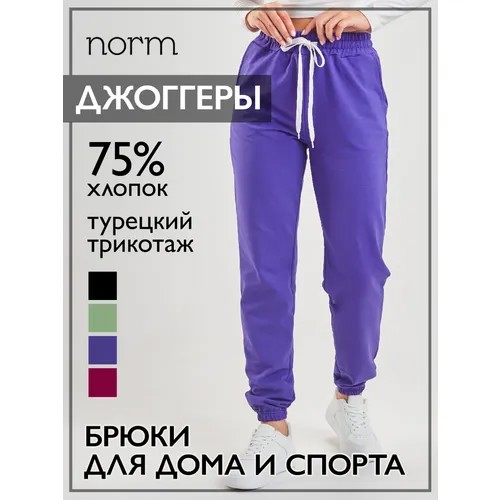 Брюки Norm джоггеры, размер 42-44, фиолетовый