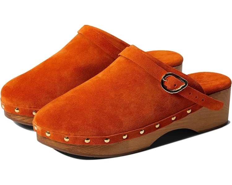 Сабо Ancient Greek Sandals Classic Closed Clog, оранжевый