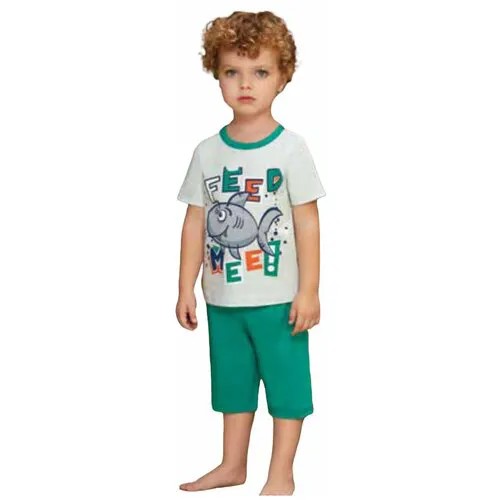Пижама детская для мальчиков, размер 4 / Комплект шорты и футболка для мальчика / Костюм для мальчика в садик Российский размер: 110