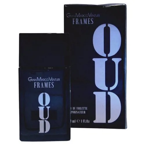 Туалетная вода мужская Gian Marco Venturi Frames Oud 100ml