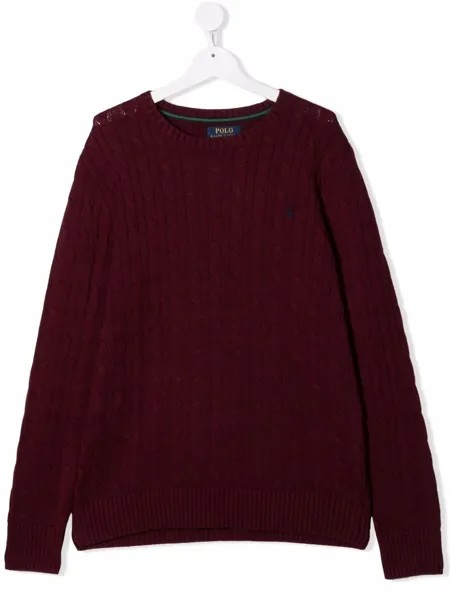 Ralph Lauren Kids джемпер Polo Pony фактурной вязки