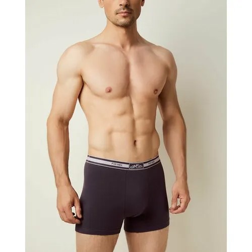 Трусы Omsa, размер 50(XL), grigio scuro