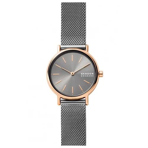 Наручные часы Skagen SKW2996