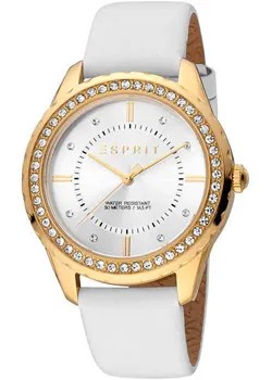 Fashion наручные  женские часы Esprit ES1L353L0025. Коллекция Skyler XL