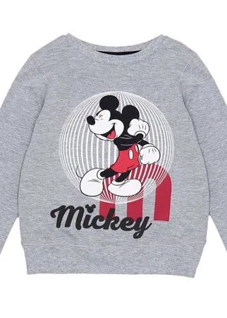 Джемпер Mickey Mouse 3.5.2.18.01.07.00052/144203 Серый 122