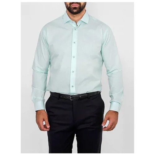 Рубашка мужская длинный рукав GREG 410/139/FR/Z/1p, Полуприталенный силуэт / Regular fit, цвет Зеленый, рост 174-184, размер ворота 43