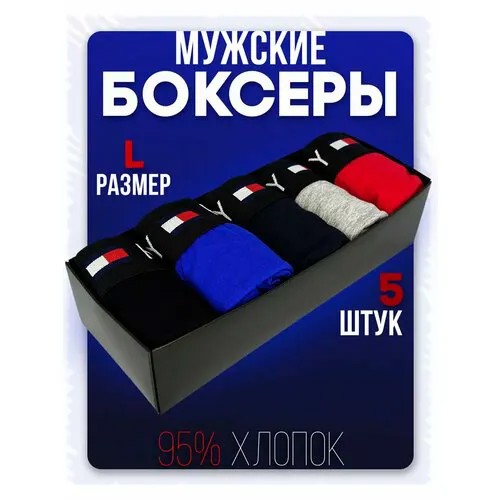 Трусы Tommy, комплект из 5 шт., размер L, серый, красный, синий, черный
