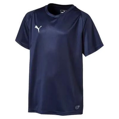Футболка Puma Liga Core с V-образным вырезом и короткими рукавами для мальчиков Молодежная синяя 703542-06