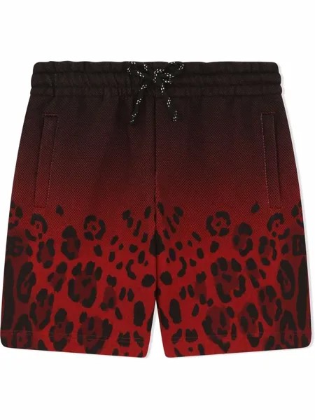 Dolce & Gabbana Kids шорты с леопардовым принтом