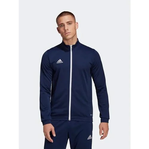 Олимпийка adidas Entrada 22, размер l, синий