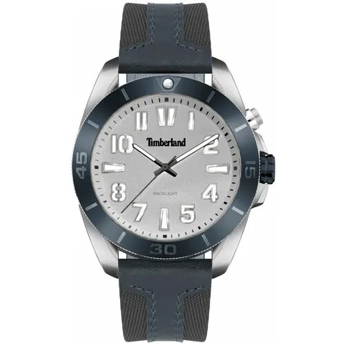 Наручные часы Timberland TDWGP2201603
