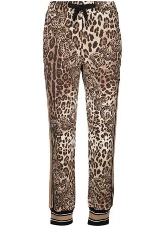Dolce & Gabbana спортивные брюки с леопардовым принтом и логотипом
