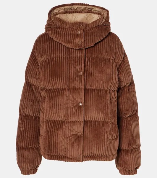 Пуховик Daos из вельвета Moncler, коричневый
