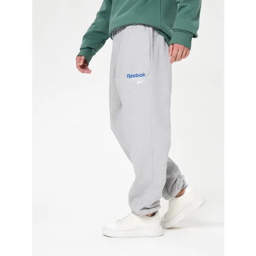 Брюки джоггеры Reebok RI BRAND PROUD, размер XL, серый/голубой
